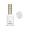 01 SILVER STARDUST